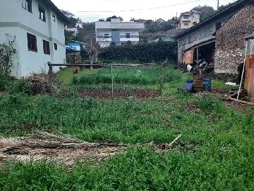 FUNDOS DO LOTE