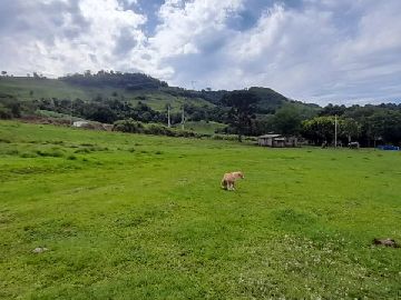 PLANA