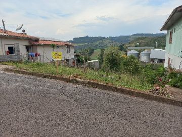 FRENTE PARA O ASFALTO 