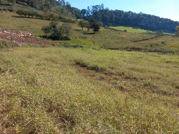VISTA DO TERRENO