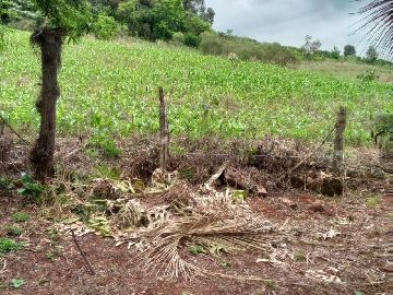 �REA RURAL 