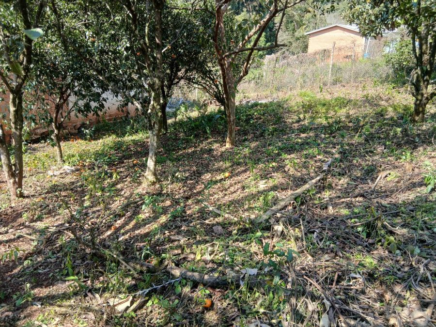 UMA AMPLA �REA EXTERNA 