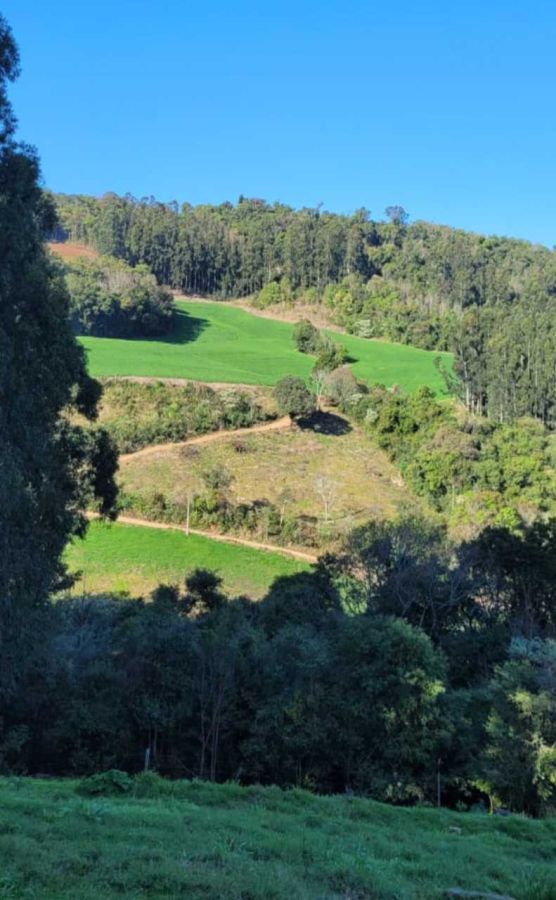 Rural - Venda - Rio Dourado - Aratiba - RS