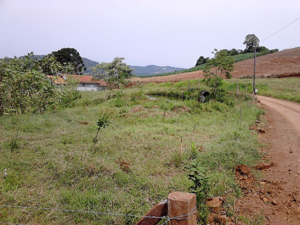 Terreno - Venda - Linha Espraiado - Aratiba - RS