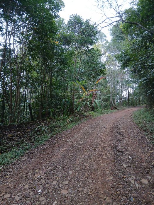 Rural - Venda - Lageado Ouro - Aratiba - RS