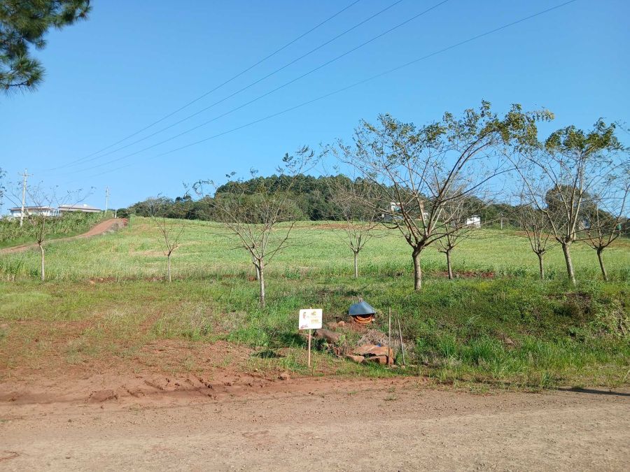 Chácara - Venda - Linha Cobra - Aratiba - RS