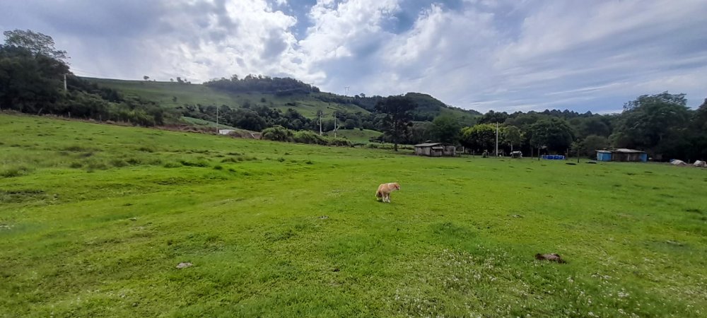 Rural - Venda - Pio X - Aratiba - RS