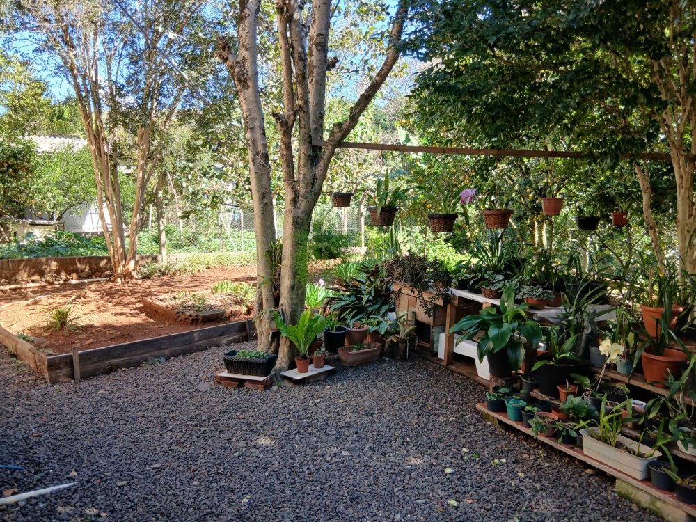 P�TIO DOS FUNDOS AGRAD�VEL 