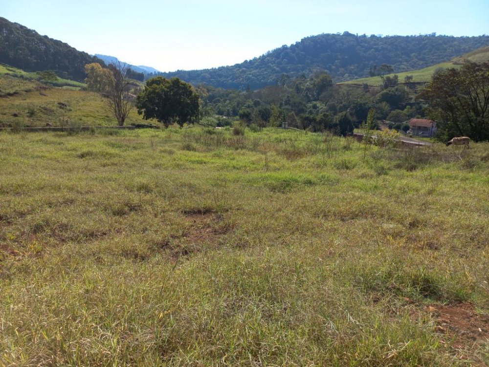 Terreno - Venda - Ao Lado da Villa Trentin - Erechim - RS