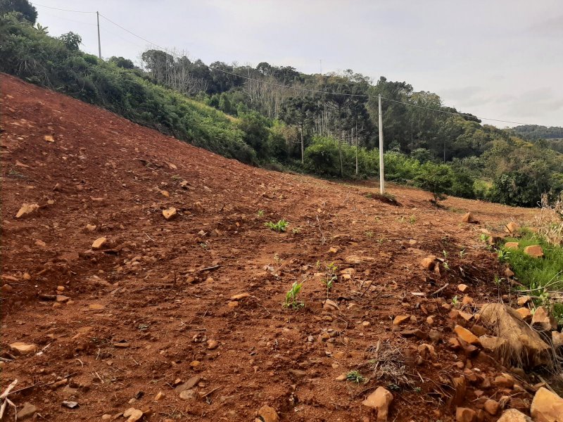 Terreno - Venda - Ps - Aratiba - RS