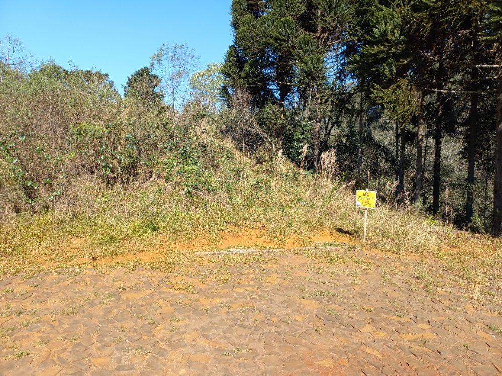 AO LADO DA �REA VERDE E SANGA