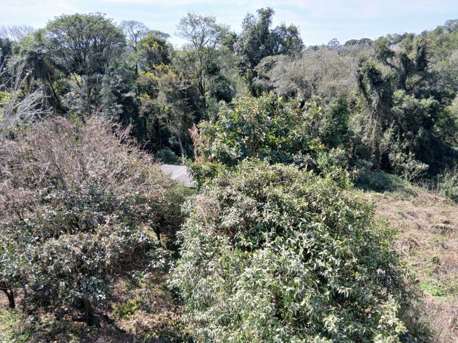 VISTA DO DORMIT�RIO 