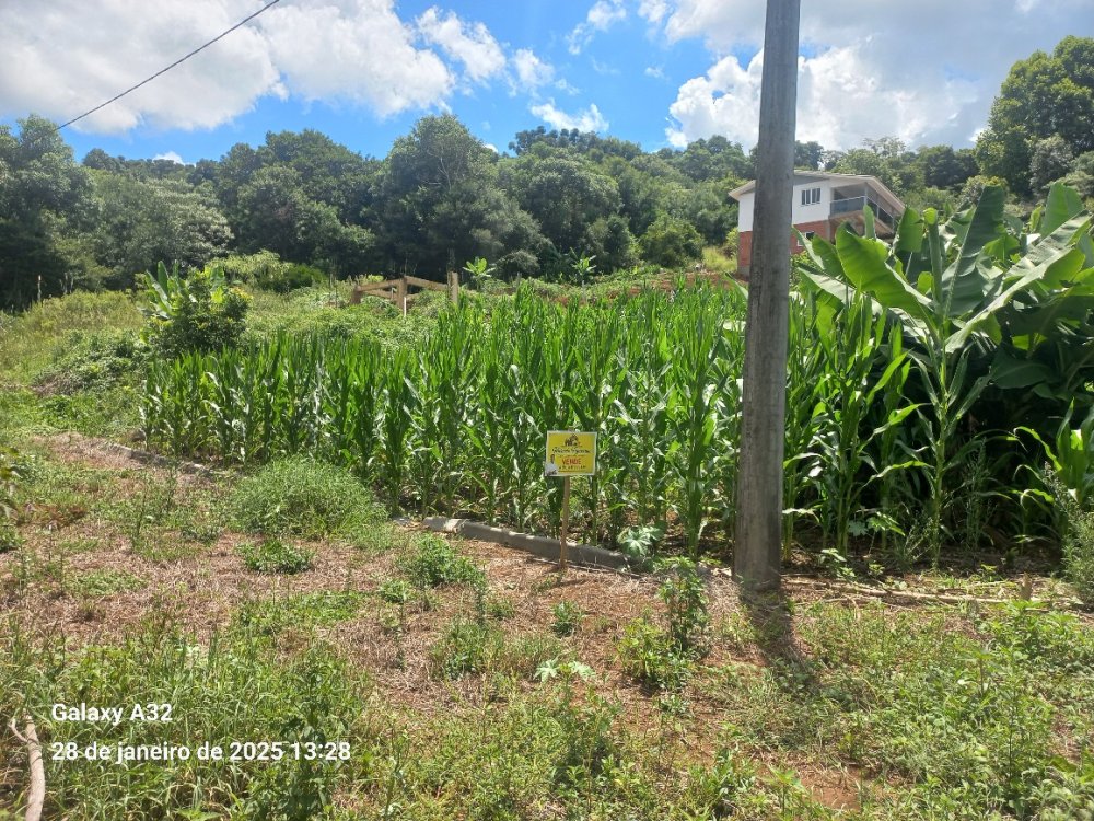 Terreno - Venda - Loteamento do Beal - Aratiba - RS