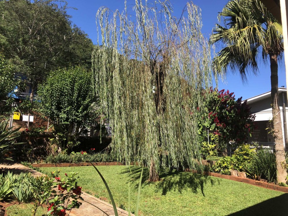 AMPLO P�TIO FRONTAL 