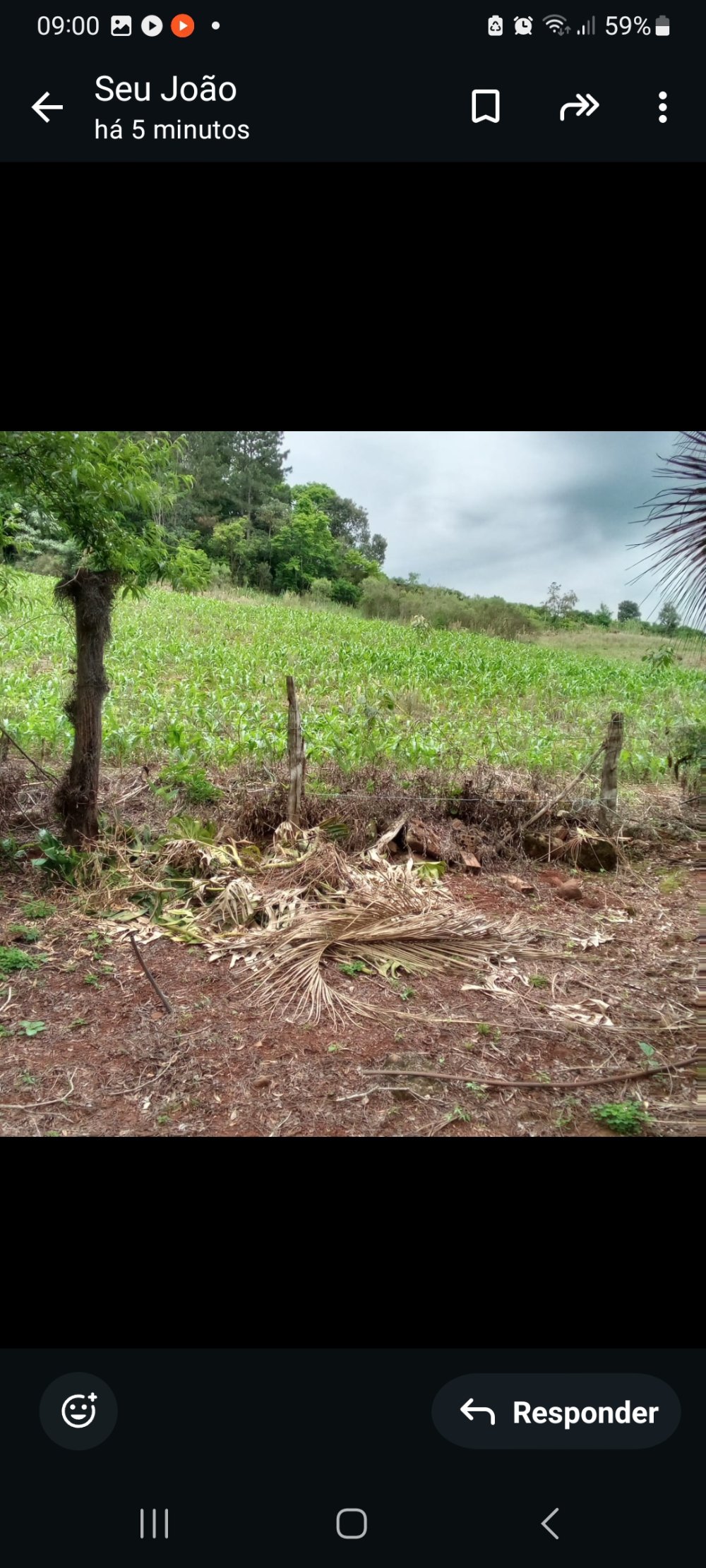 rea - Venda - Lageado das Pedras - Aratiba - RS