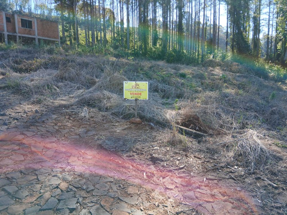 Terreno - Venda - Loteamento Motter - Aratiba - RS