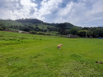 PLANA