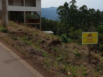 FRENTE PARA O ASFALTO 