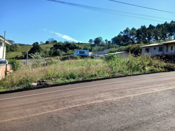 TIMA LOCALIZAO 