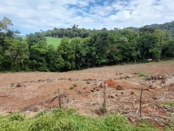 VEGETAO LIMPA