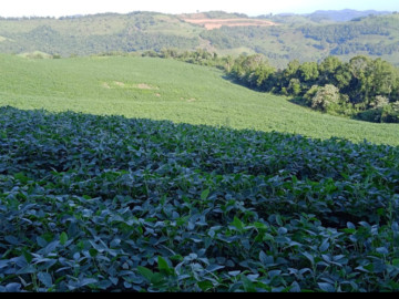 FOTO DA REA RURAL